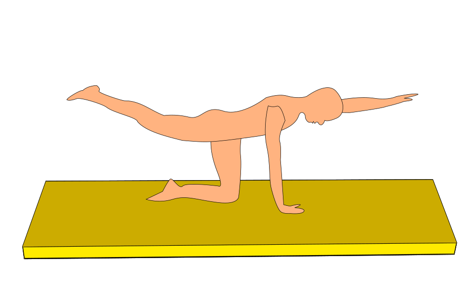 Bird-dog illustration